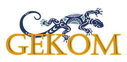 Logo_Gekom-Software Gestione Servizi